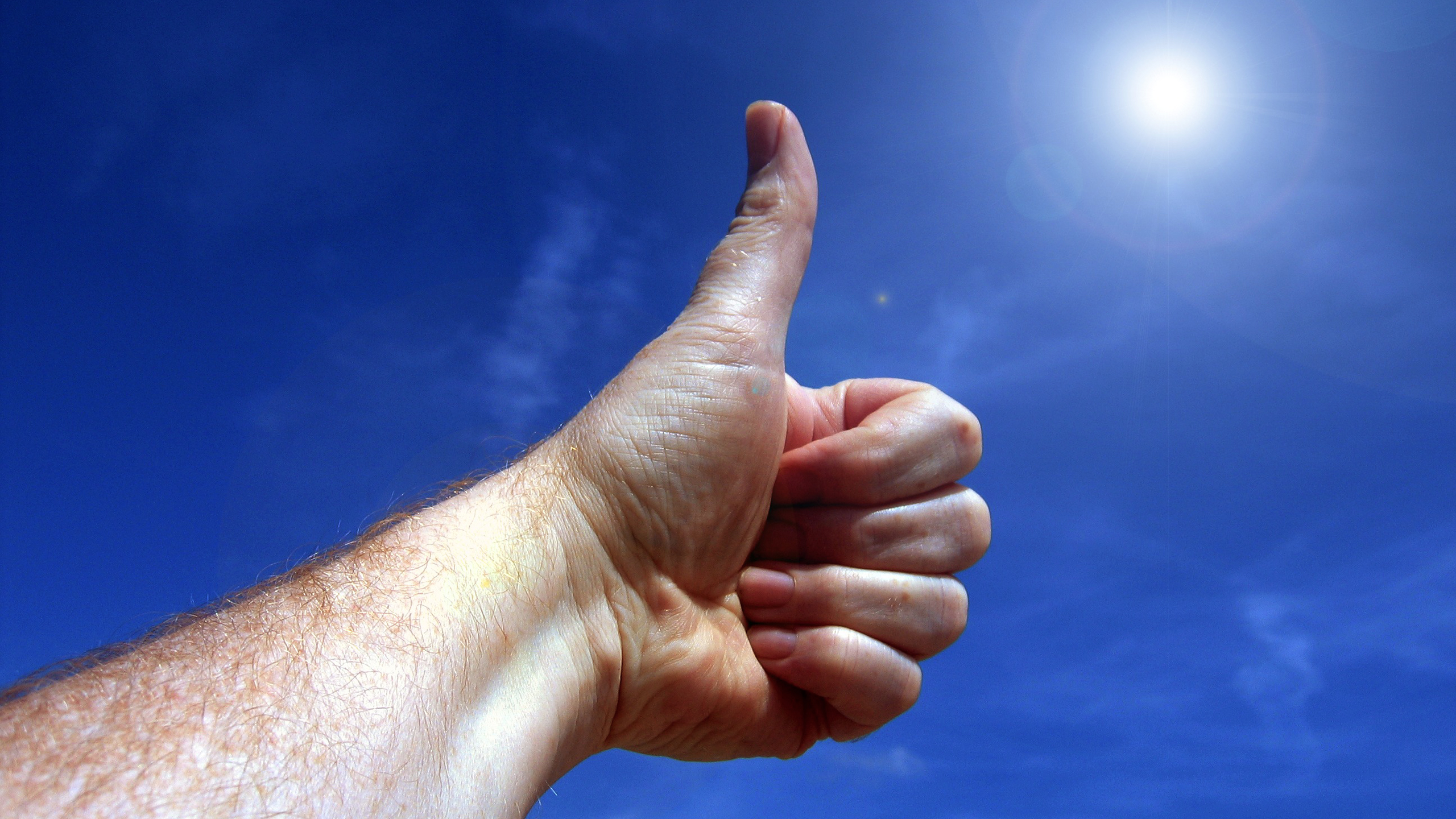 Never forget alt tags!